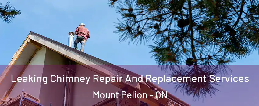  Leaking Chimney Repair And Replacement Services Mount Pelion - ON