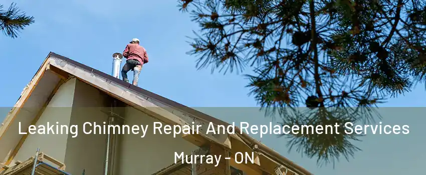  Leaking Chimney Repair And Replacement Services Murray - ON