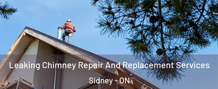  Leaking Chimney Repair And Replacement Services Sidney - ON
