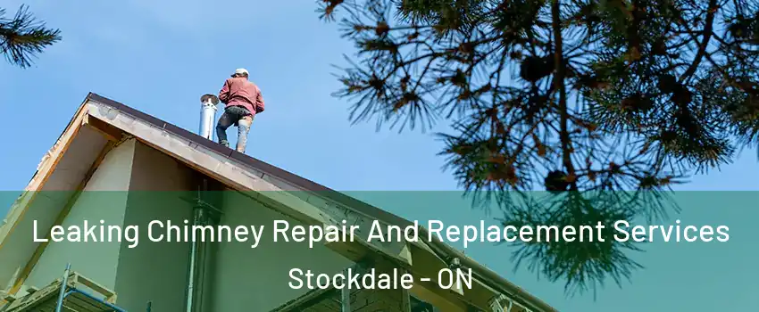  Leaking Chimney Repair And Replacement Services Stockdale - ON