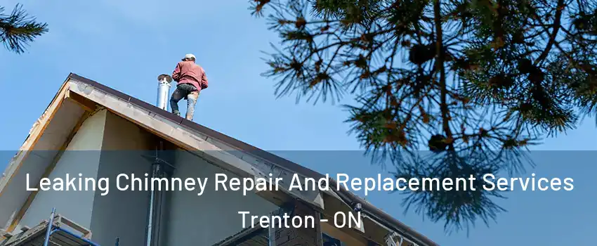  Leaking Chimney Repair And Replacement Services Trenton - ON