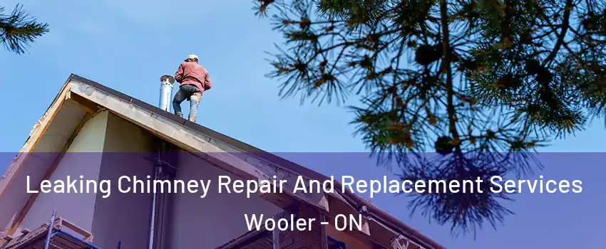  Leaking Chimney Repair And Replacement Services Wooler - ON