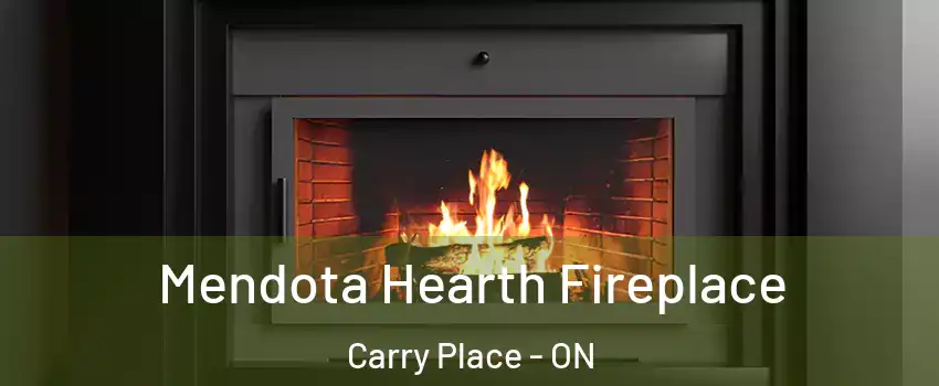  Mendota Hearth Fireplace Carry Place - ON