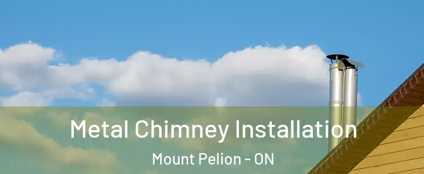  Metal Chimney Installation Mount Pelion - ON