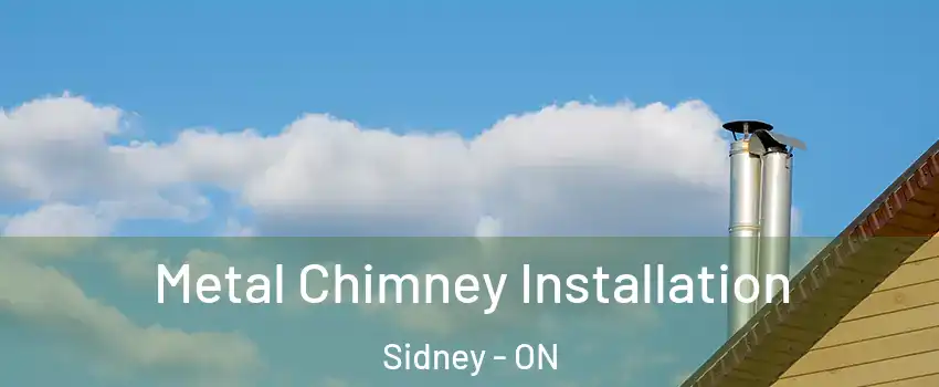  Metal Chimney Installation Sidney - ON