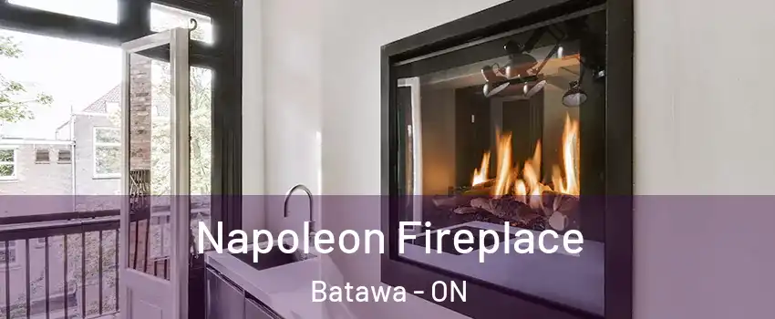  Napoleon Fireplace Batawa - ON