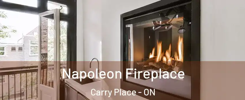  Napoleon Fireplace Carry Place - ON