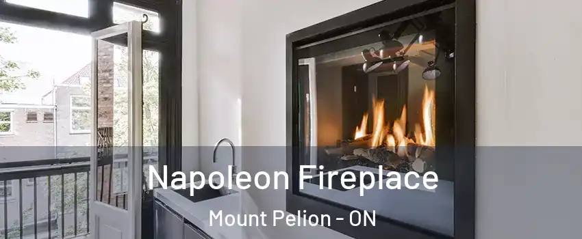  Napoleon Fireplace Mount Pelion - ON