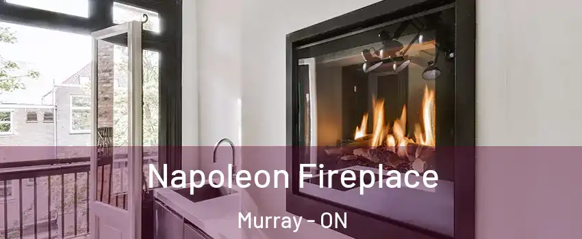  Napoleon Fireplace Murray - ON