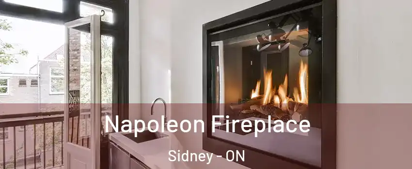  Napoleon Fireplace Sidney - ON
