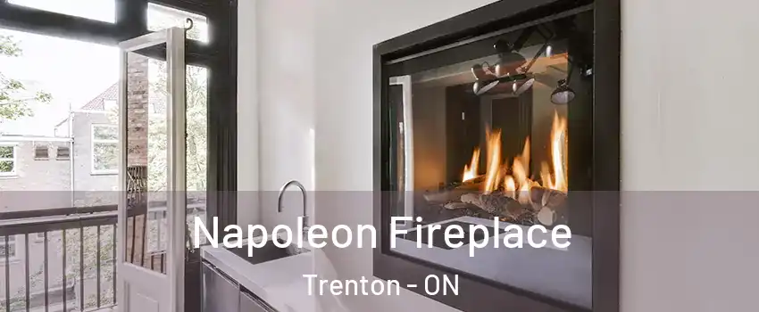  Napoleon Fireplace Trenton - ON