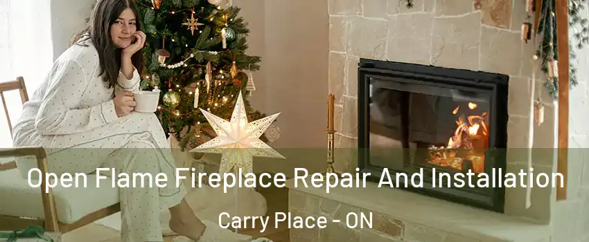  Open Flame Fireplace Repair And Installation Carry Place - ON