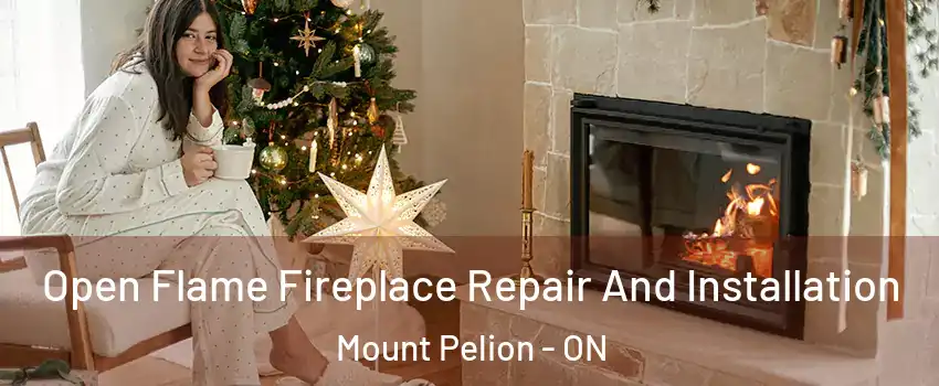  Open Flame Fireplace Repair And Installation Mount Pelion - ON