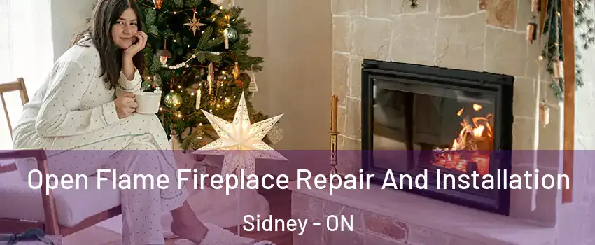  Open Flame Fireplace Repair And Installation Sidney - ON