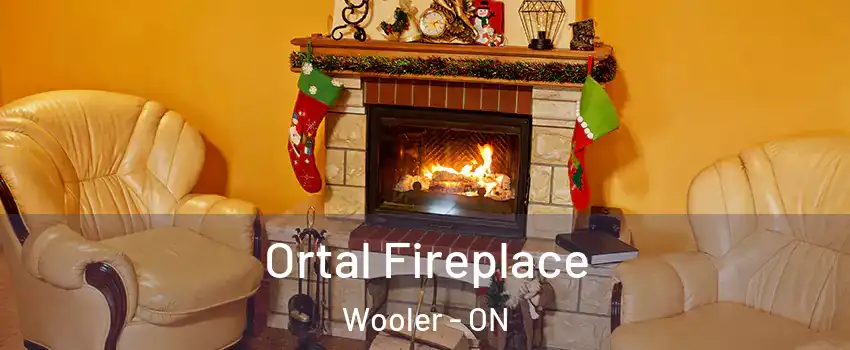  Ortal Fireplace Wooler - ON