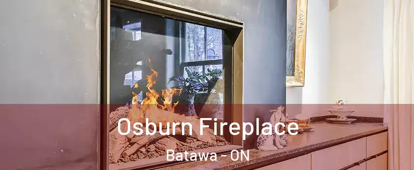  Osburn Fireplace Batawa - ON