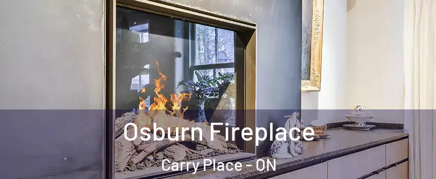  Osburn Fireplace Carry Place - ON