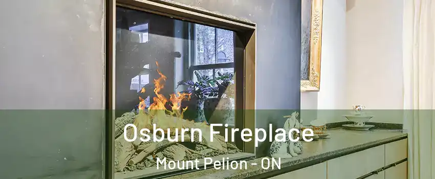  Osburn Fireplace Mount Pelion - ON
