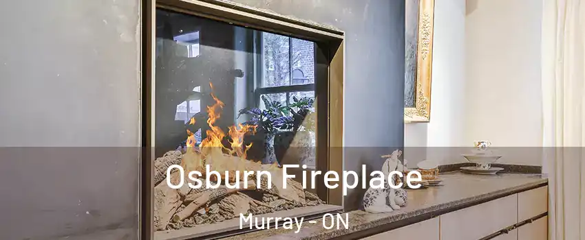  Osburn Fireplace Murray - ON