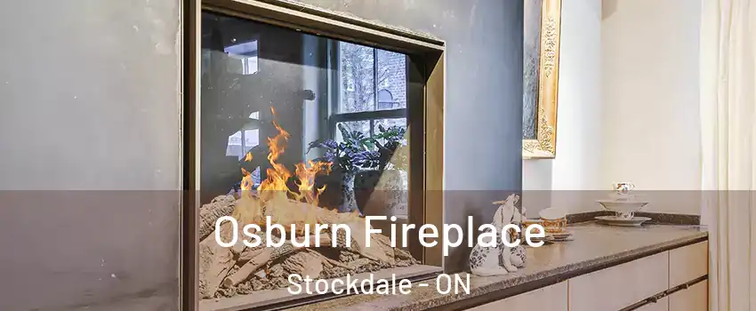  Osburn Fireplace Stockdale - ON