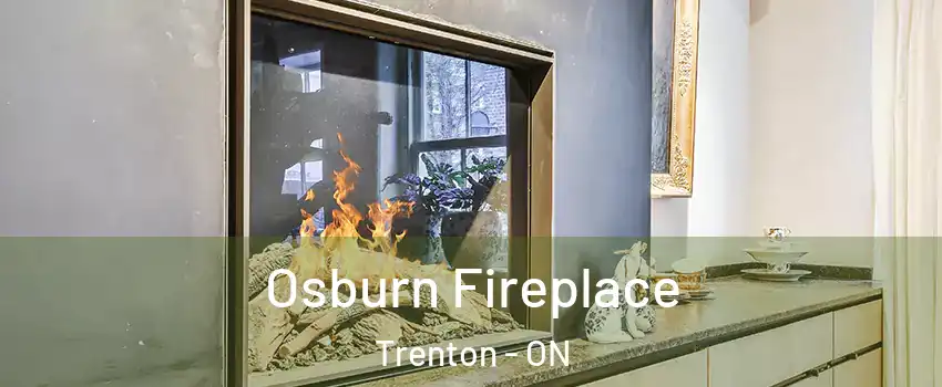  Osburn Fireplace Trenton - ON