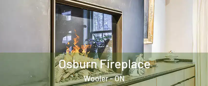  Osburn Fireplace Wooler - ON