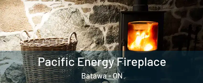  Pacific Energy Fireplace Batawa - ON