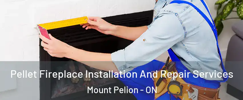  Pellet Fireplace Installation And Repair Services Mount Pelion - ON