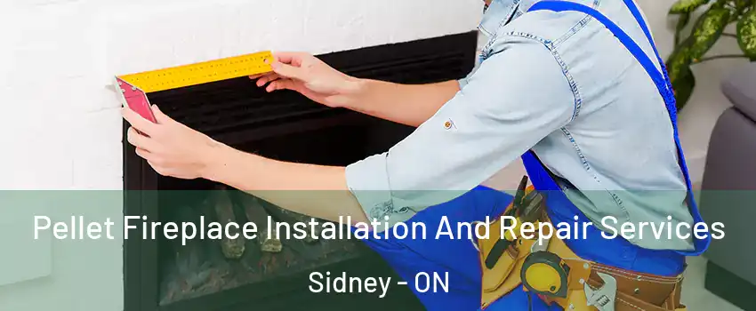  Pellet Fireplace Installation And Repair Services Sidney - ON