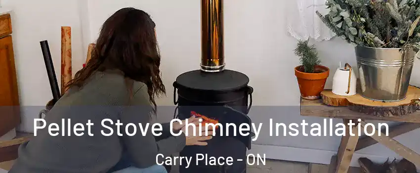  Pellet Stove Chimney Installation Carry Place - ON