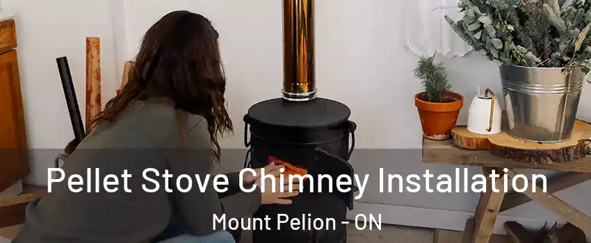  Pellet Stove Chimney Installation Mount Pelion - ON