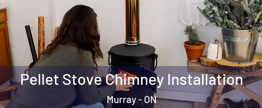  Pellet Stove Chimney Installation Murray - ON