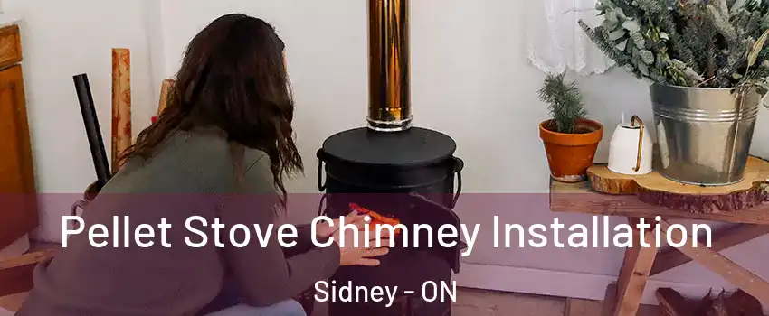  Pellet Stove Chimney Installation Sidney - ON