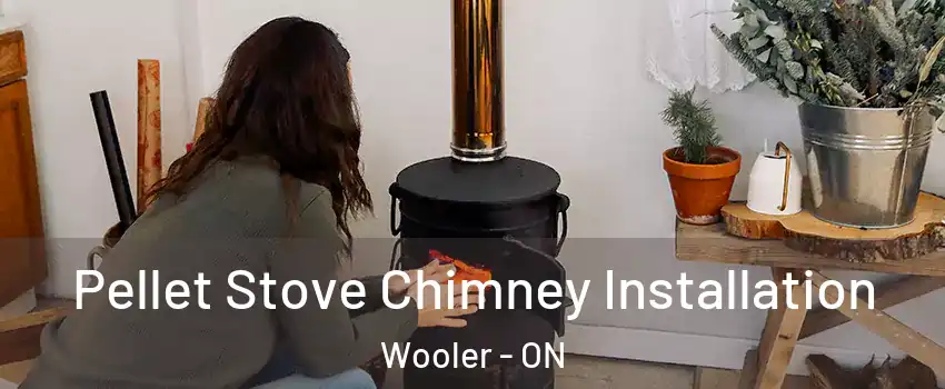  Pellet Stove Chimney Installation Wooler - ON