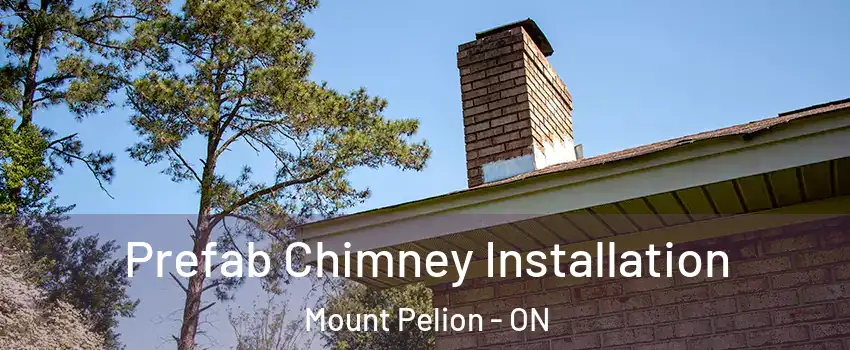  Prefab Chimney Installation Mount Pelion - ON