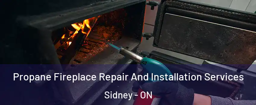  Propane Fireplace Repair And Installation Services Sidney - ON
