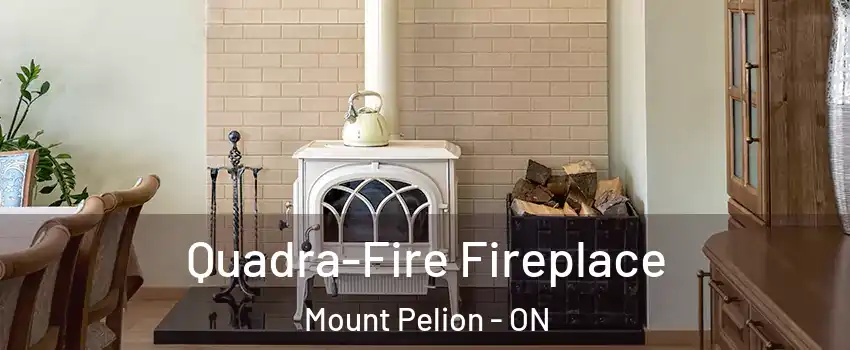  Quadra-Fire Fireplace Mount Pelion - ON
