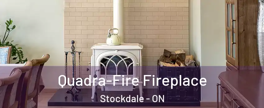  Quadra-Fire Fireplace Stockdale - ON