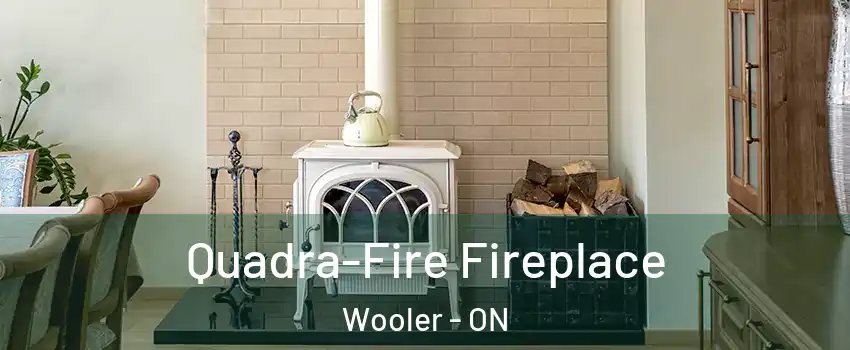  Quadra-Fire Fireplace Wooler - ON