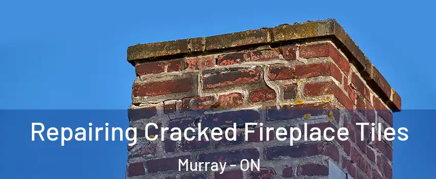  Repairing Cracked Fireplace Tiles Murray - ON
