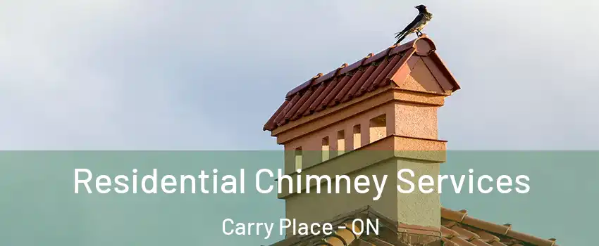  Residential Chimney Services Carry Place - ON