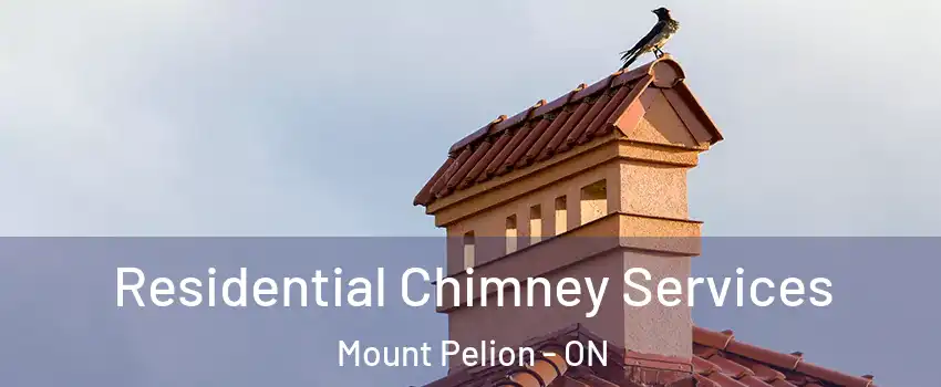  Residential Chimney Services Mount Pelion - ON