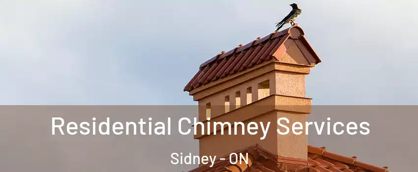  Residential Chimney Services Sidney - ON