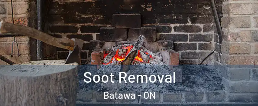  Soot Removal Batawa - ON