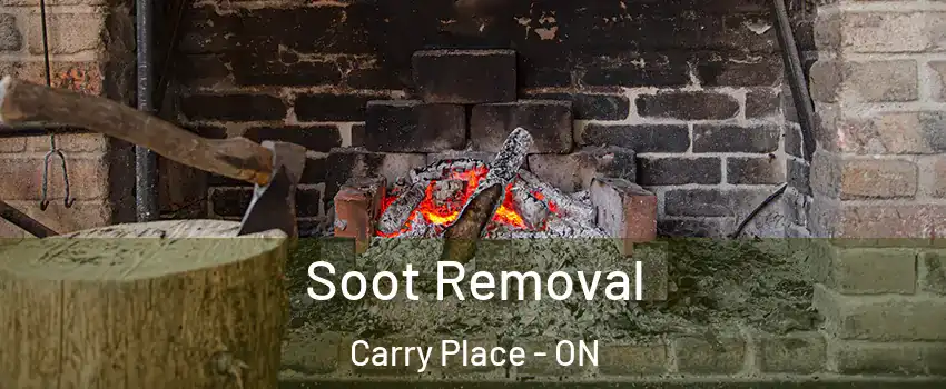  Soot Removal Carry Place - ON