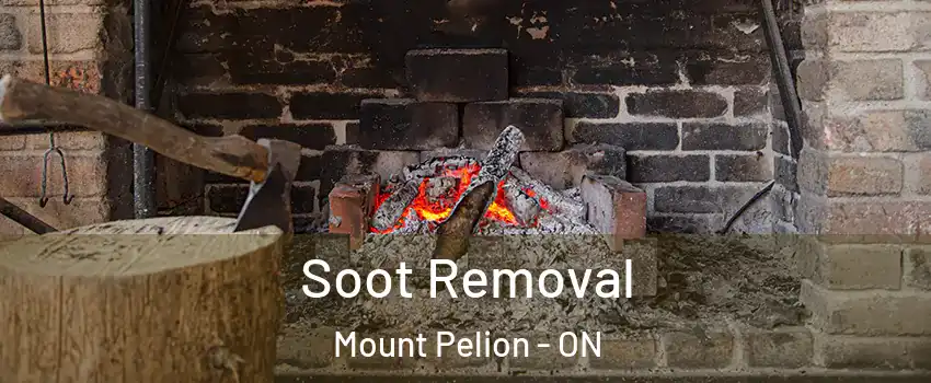  Soot Removal Mount Pelion - ON