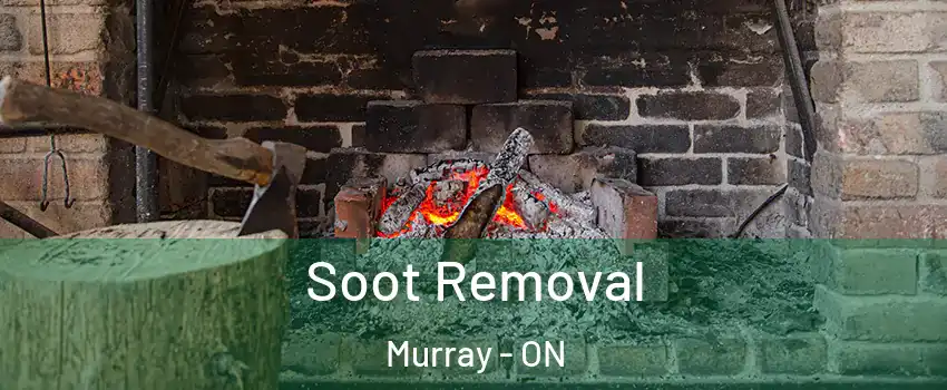  Soot Removal Murray - ON