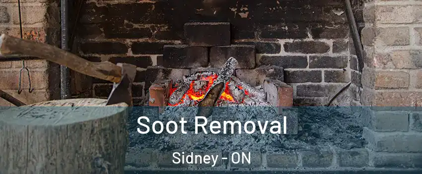  Soot Removal Sidney - ON