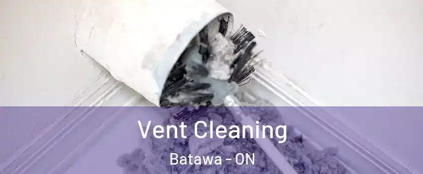  Vent Cleaning Batawa - ON