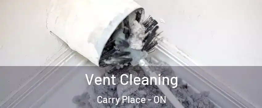  Vent Cleaning Carry Place - ON